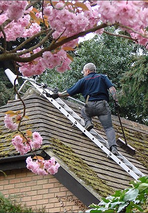 Our staff cleaning the moss from a roof in Hawkinge near Folkestone